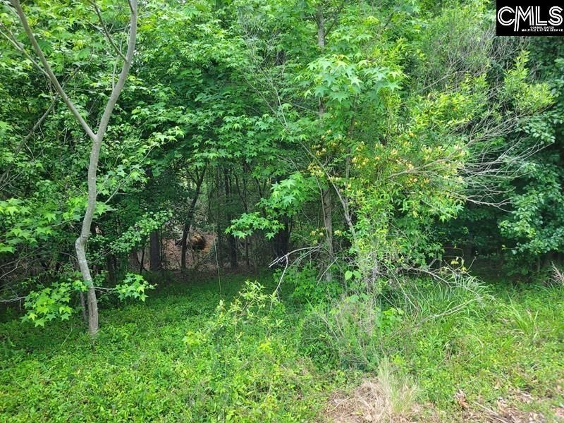 105 River Bluff Court  Photo 14