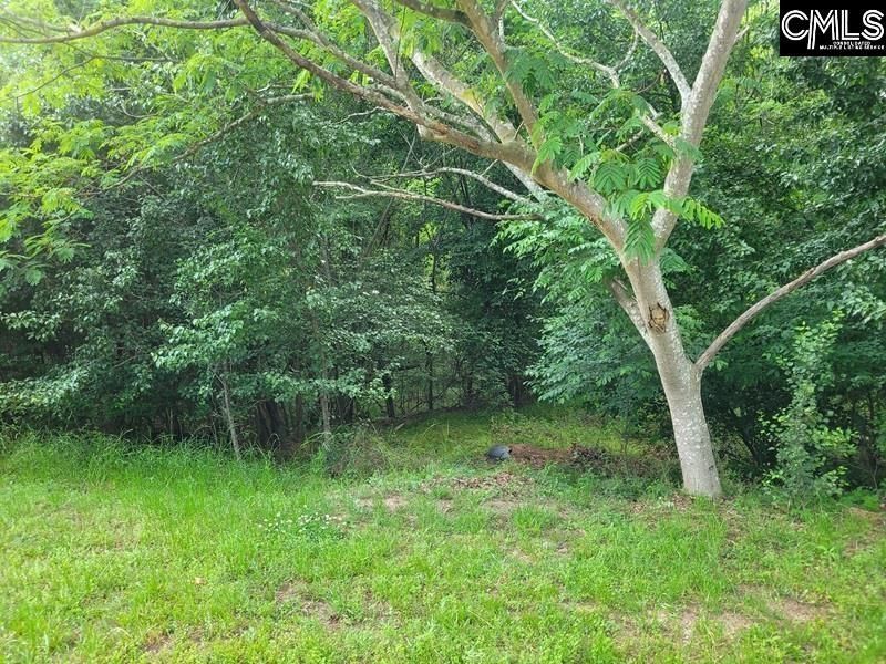 105 River Bluff Court  Photo 15