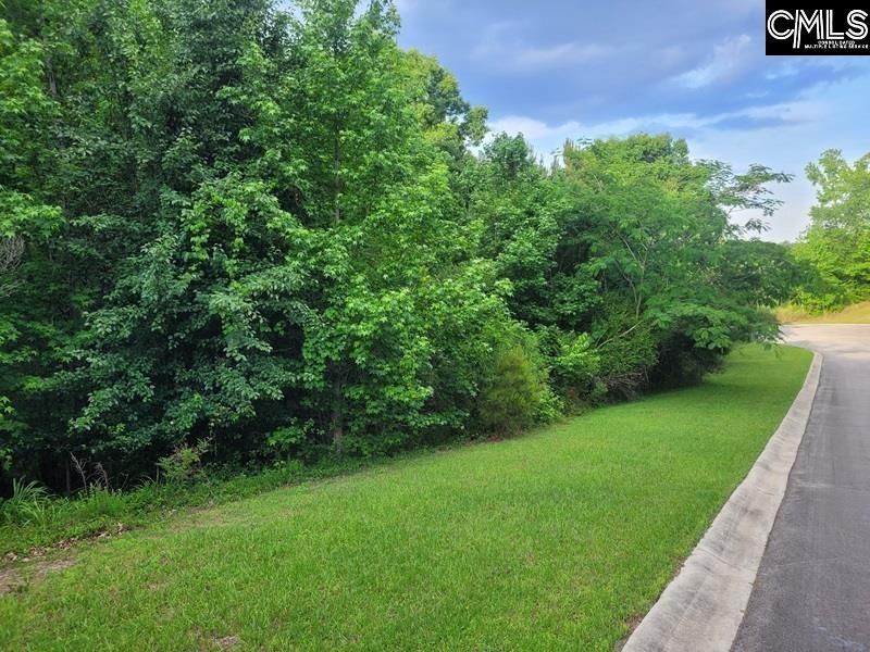 105 River Bluff Court  Photo 5