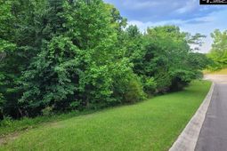 105 River Bluff Court  photo 4