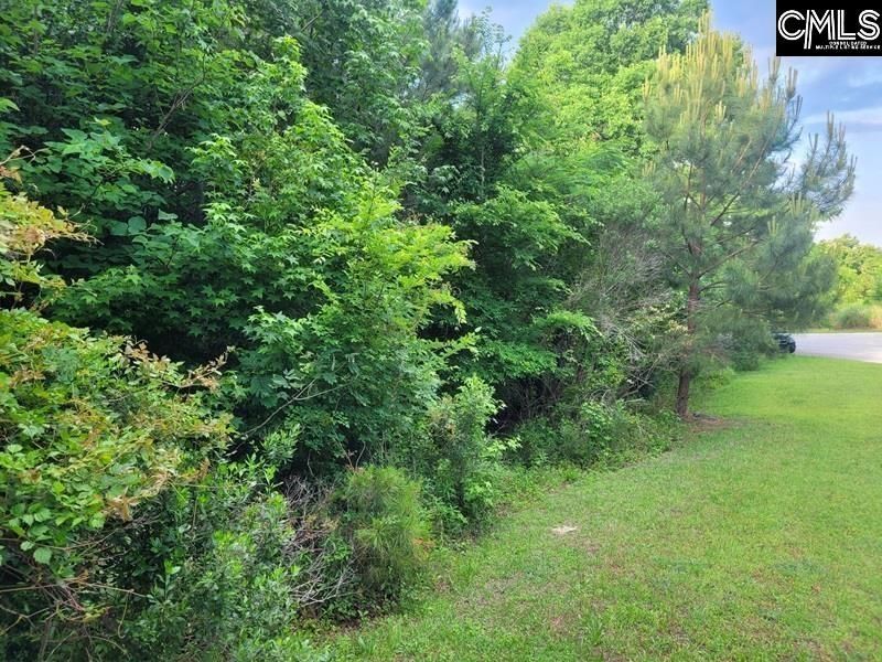 105 River Bluff Court  Photo 7