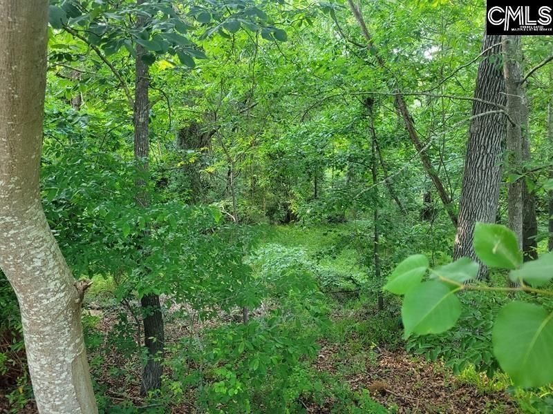 105 River Bluff Court  Photo 9