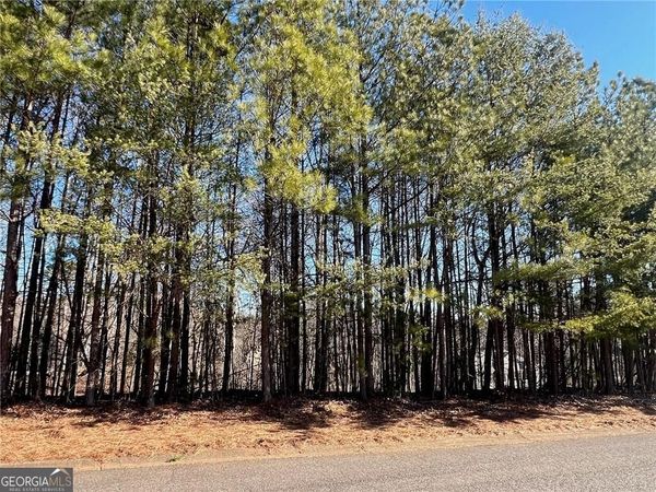 920 Whistler Lane, Unit 68, Canton, GA 30114