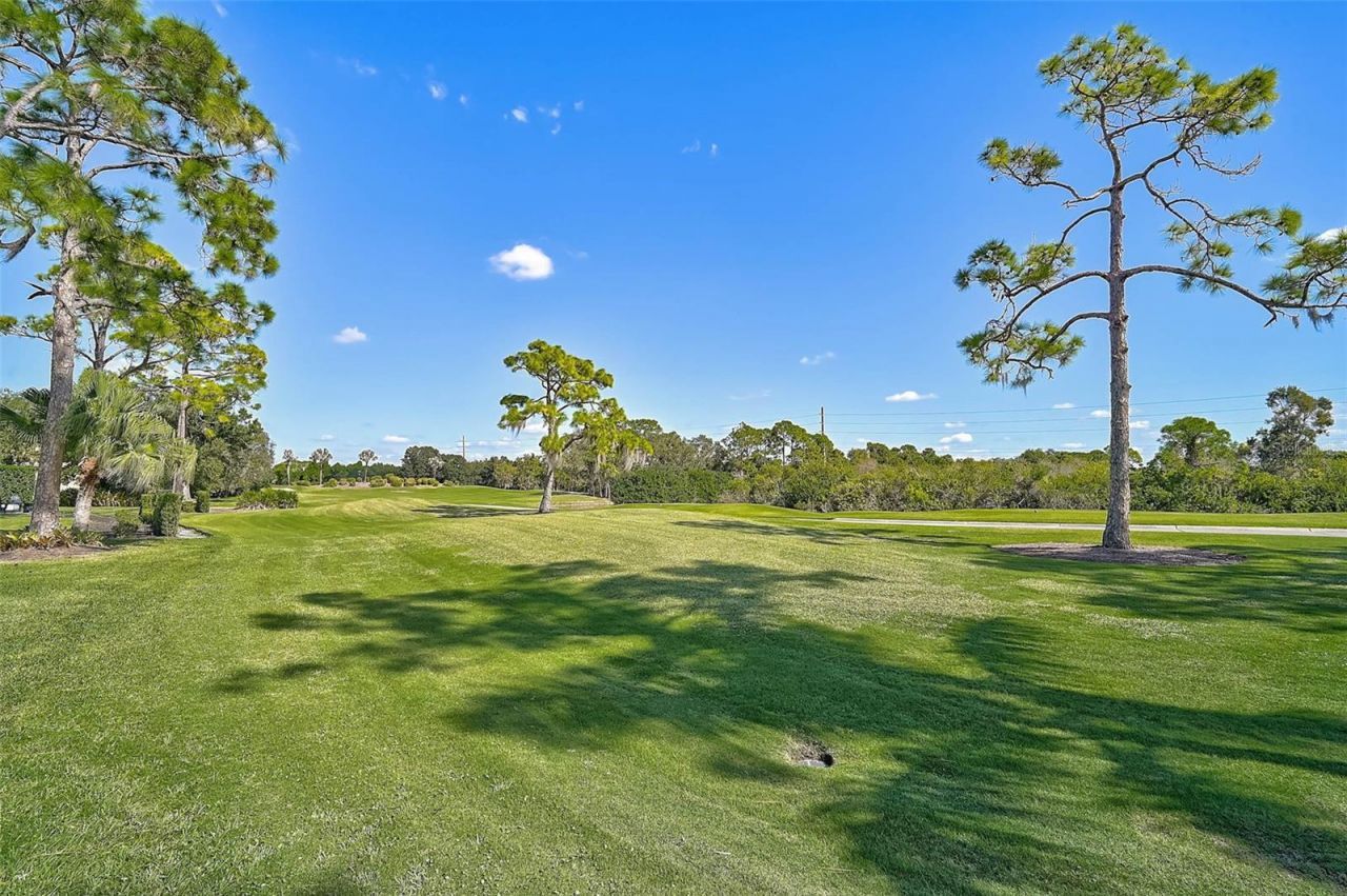 538 Dove Pointe Drive, Osprey, FL 34229 Photo