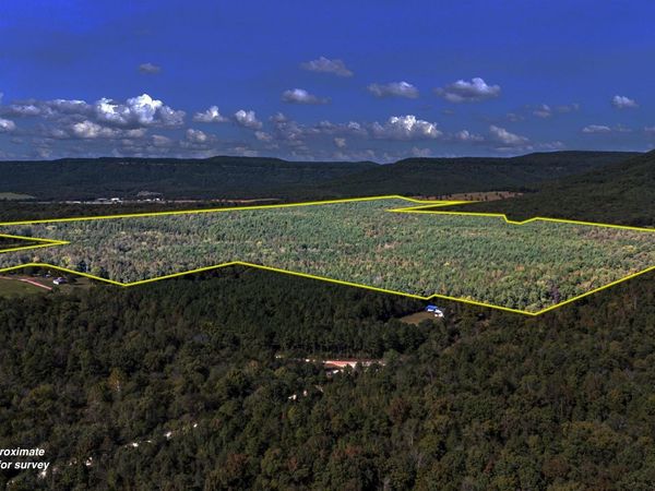 000 County Rd 4200, Clarksville, AR 72830