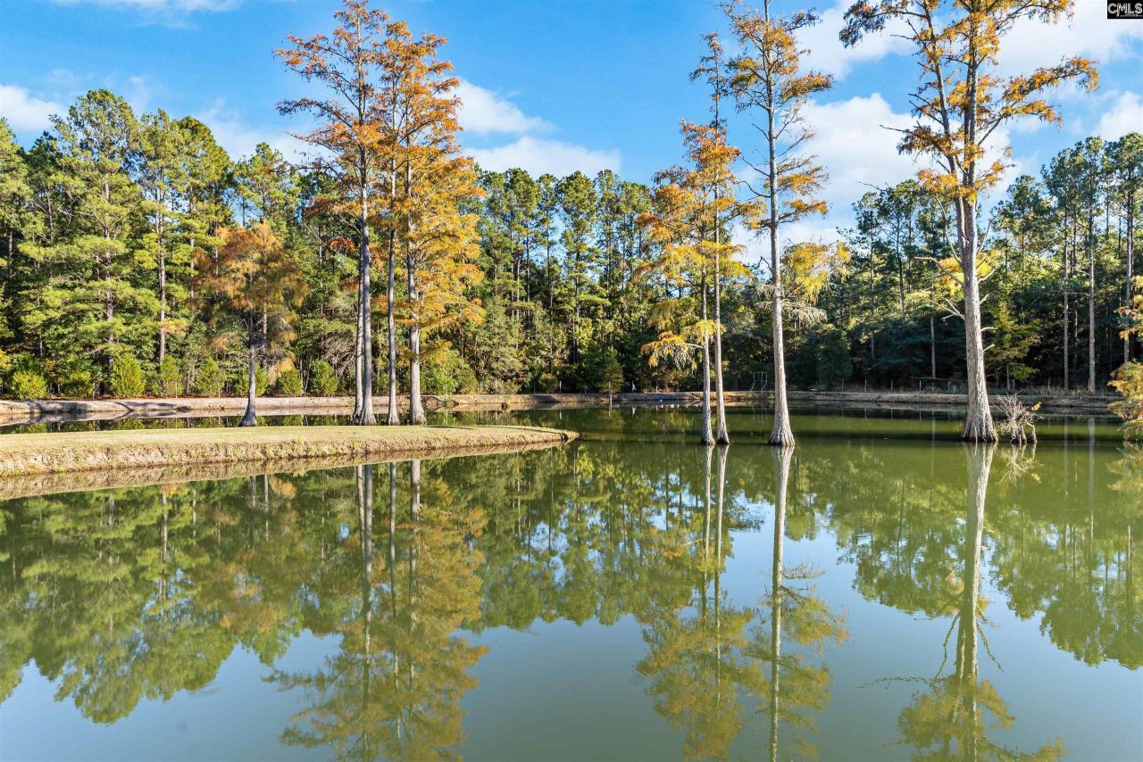 646 Briar Creek Road Photo 41