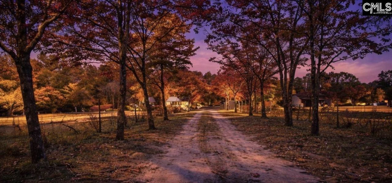 646 Briar Creek Road Photo 5