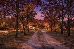 646 Briar Creek Road photo 4