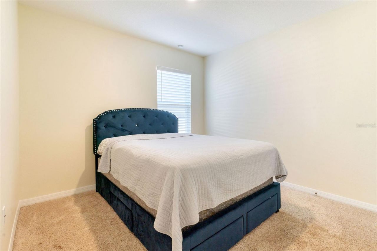 9537 Black Walnut Drive, Clermont, FL 34715 Photo