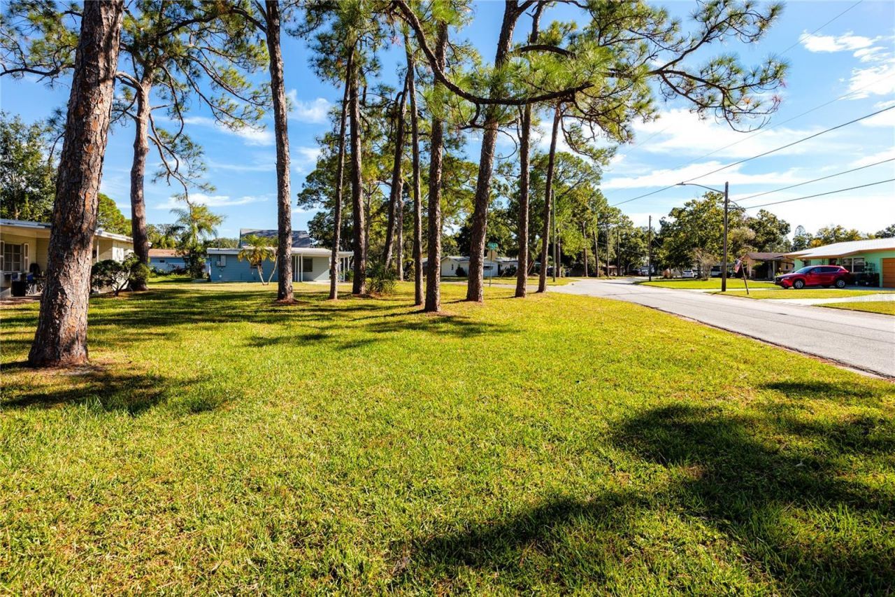 647 Garland Street N, Saint Petersburg, FL 33703 Photo