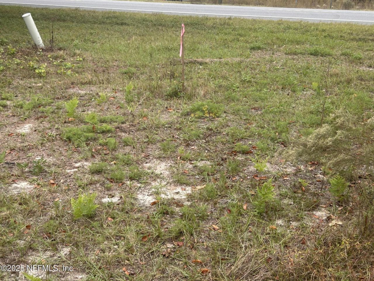 5411 State Road 21, Keystone Heights, FL 32656 Photo