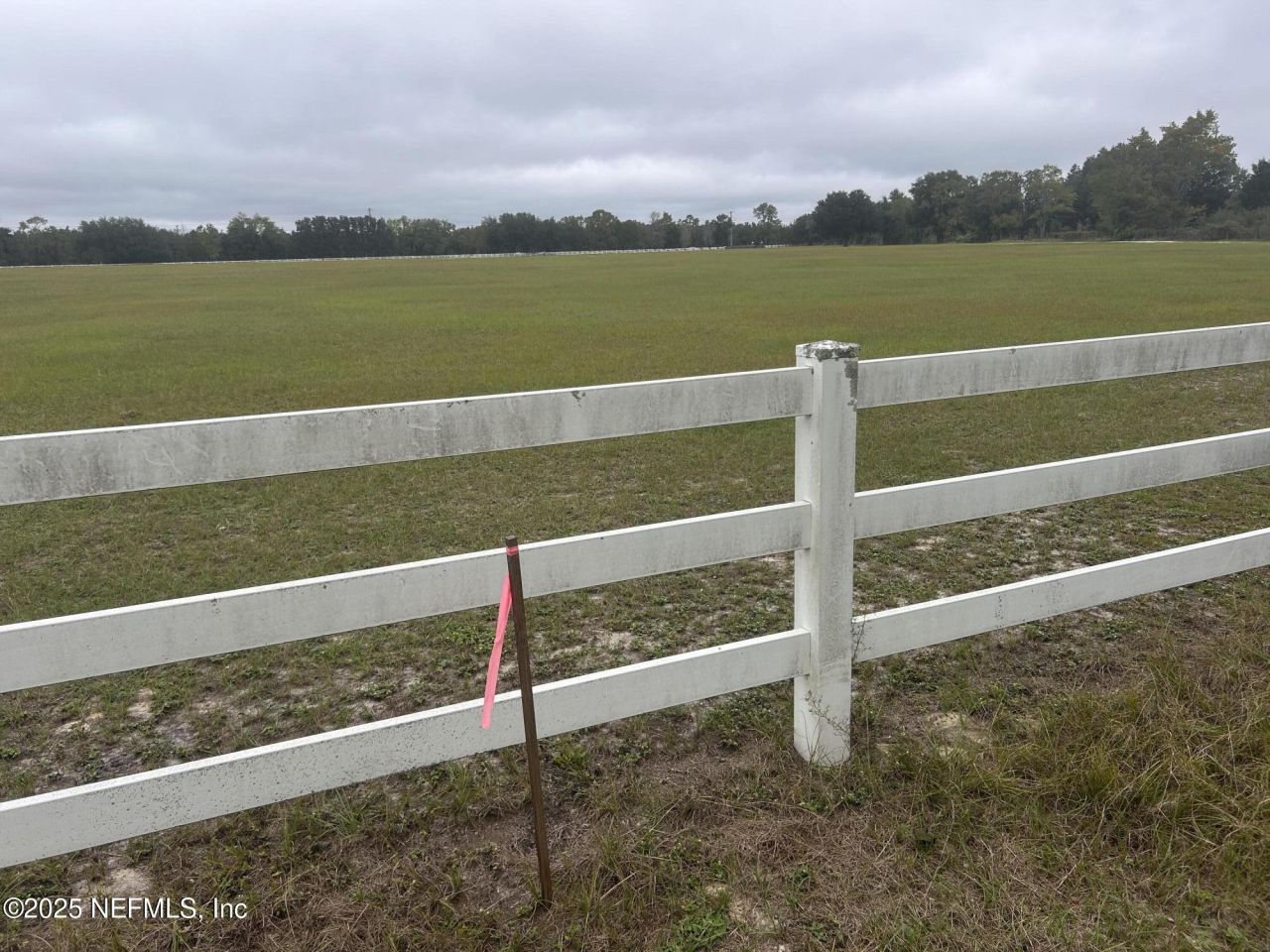 5411 State Road 21, Keystone Heights, FL 32656 Photo