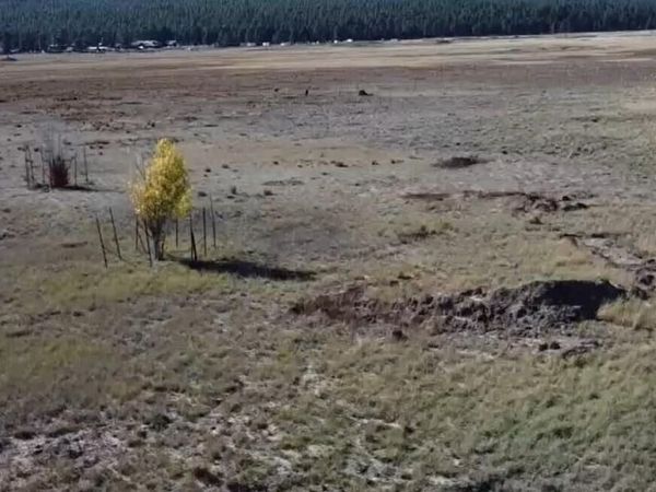 732 LOTS A LUCK Lane, Unit 6, Mormon Lake, AZ 86038