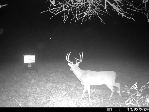 N 386 , Stuart, OK 74570