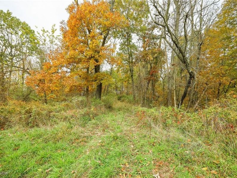 V/L NW Lake Road, Strasburg, OH 44680 Photo 16