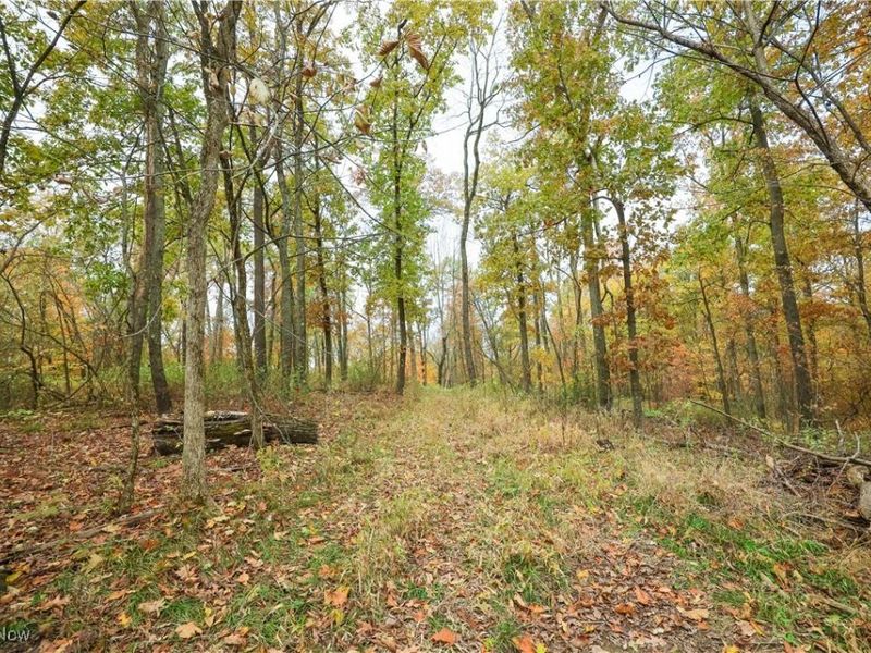 V/L NW Lake Road, Strasburg, OH 44680 Photo 17