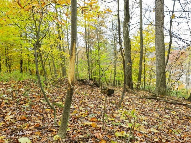 V/L NW Lake Road, Strasburg, OH 44680 Photo 18