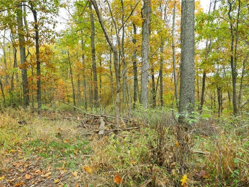 V/L NW Lake Road, Strasburg, OH 44680 Photo 19