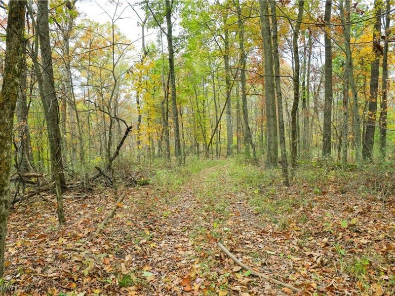 V/L NW Lake Road, Strasburg, OH 44680 Photo 20