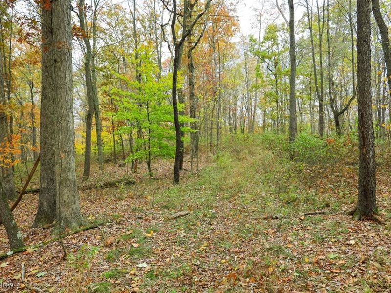 V/L NW Lake Road, Strasburg, OH 44680 Photo 21