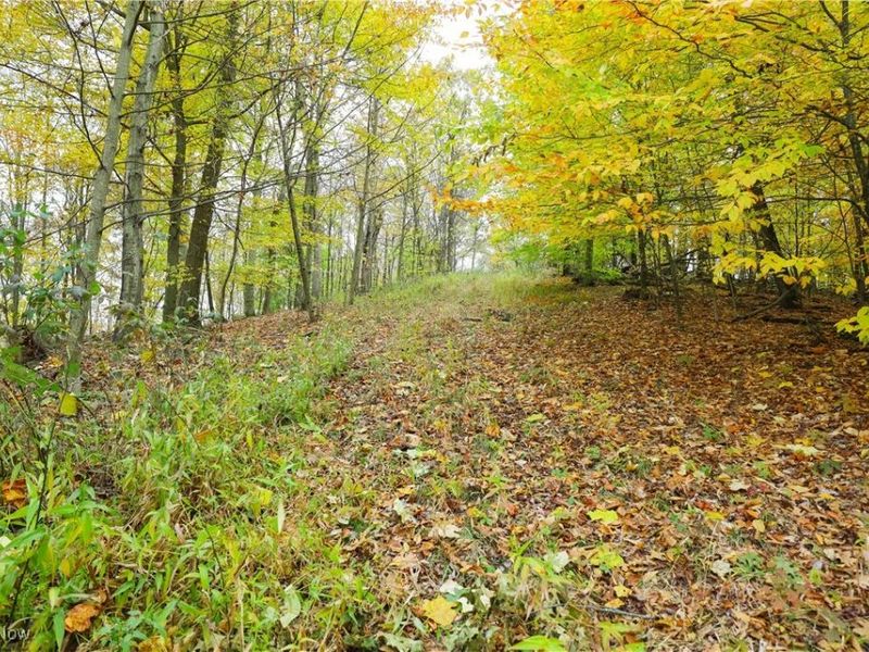 V/L NW Lake Road, Strasburg, OH 44680 Photo 22