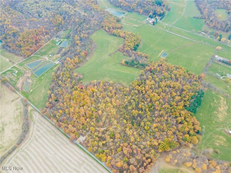 V/L NW Lake Road, Strasburg, OH 44680 Photo 26