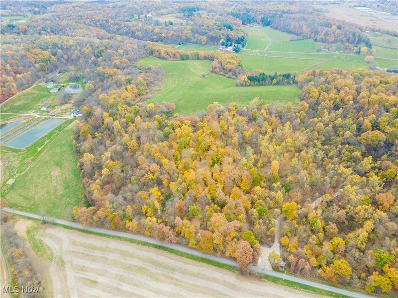 V/L NW Lake Road, Strasburg, OH 44680 Photo 28