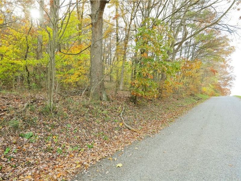 V/L NW Lake Road, Strasburg, OH 44680 Photo 39