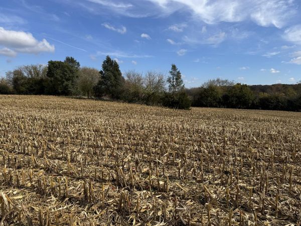 Lt11 Leo Ln, Big Bend, WI 53103