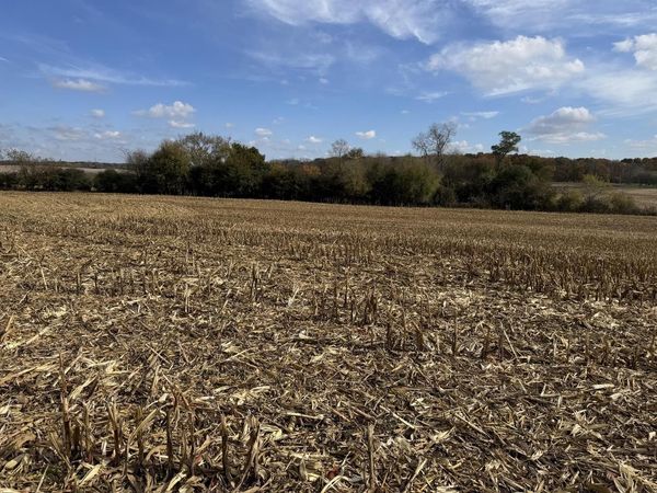 Lt12 LEO LANE, Big Bend, WI 53103