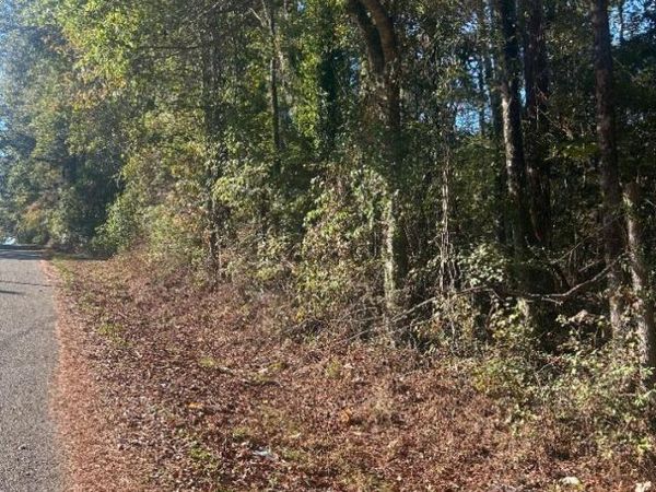 0 Lee Street, Castleberry, AL 36432