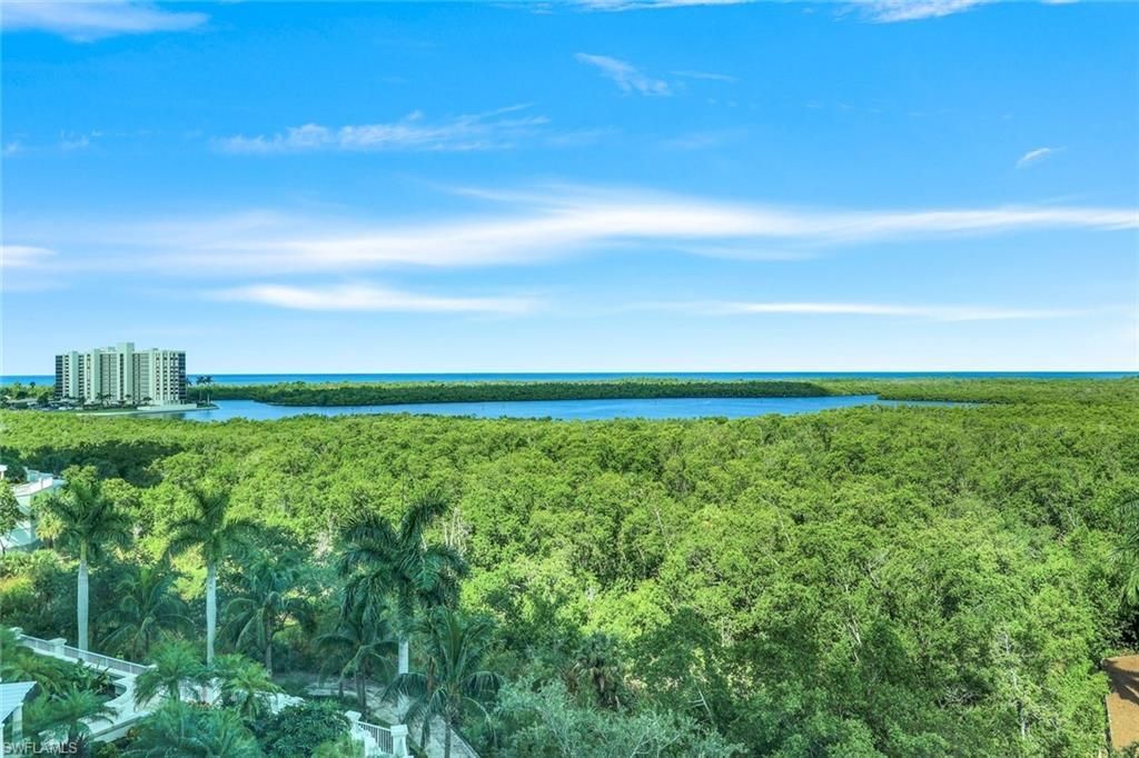 275 Indies Way, Unit 706, Naples, FL 34110 Photo