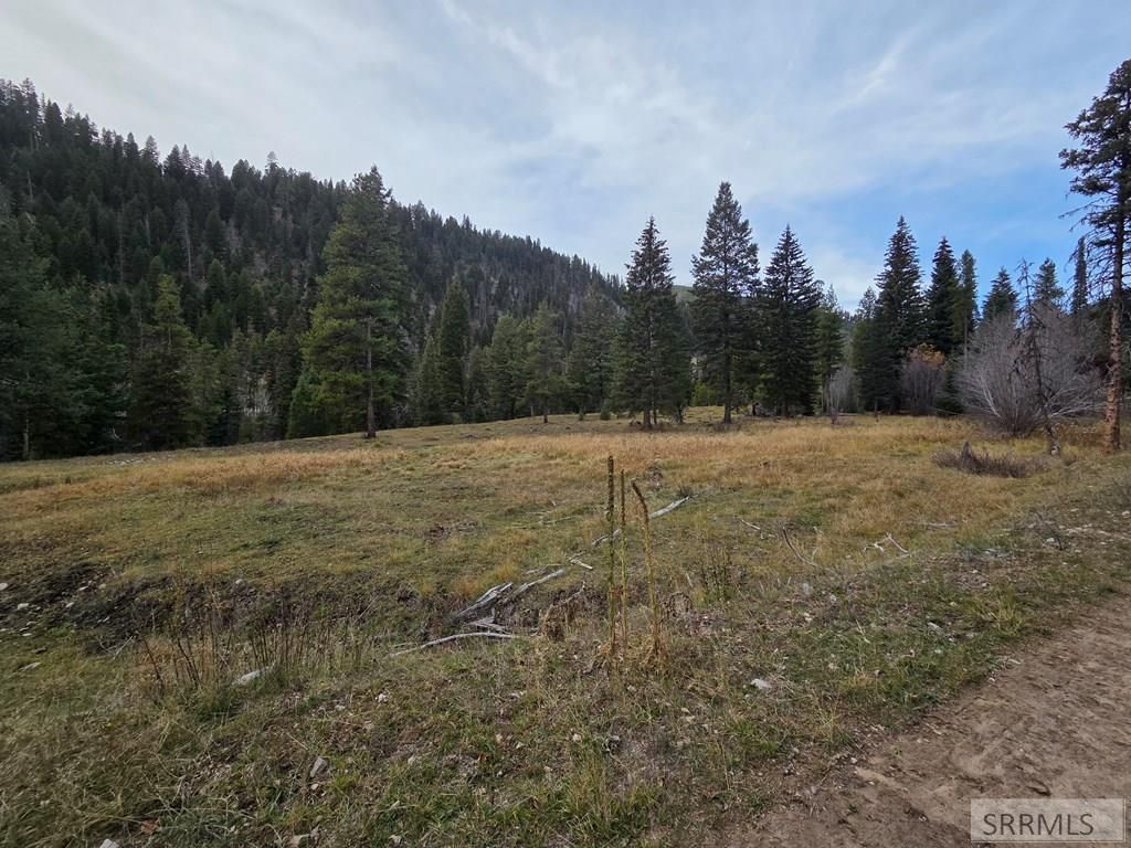 Lot 18 Kokopelli Drive, Gibbonsville, ID 83463 Main Photo