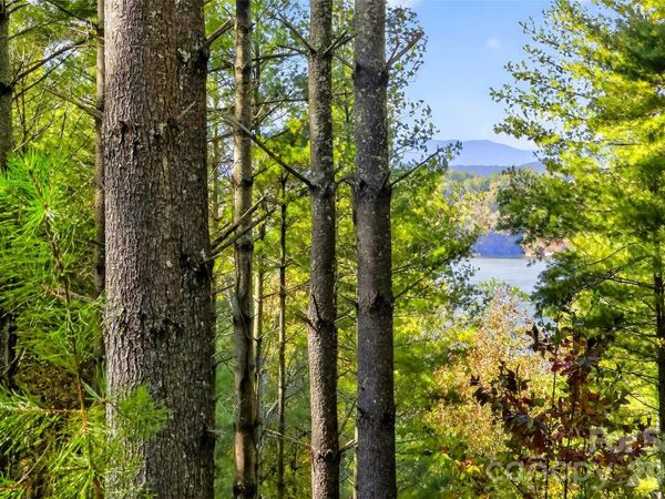 0 West Point Drive, Nebo, NC 28761