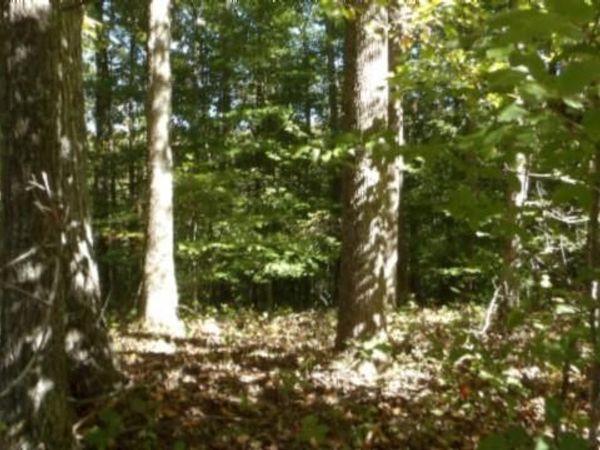 Lot 2 Inland Court, Sparta, TN 38583
