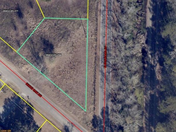 TBD N Railroad Ave., Johnsonville, SC 29555