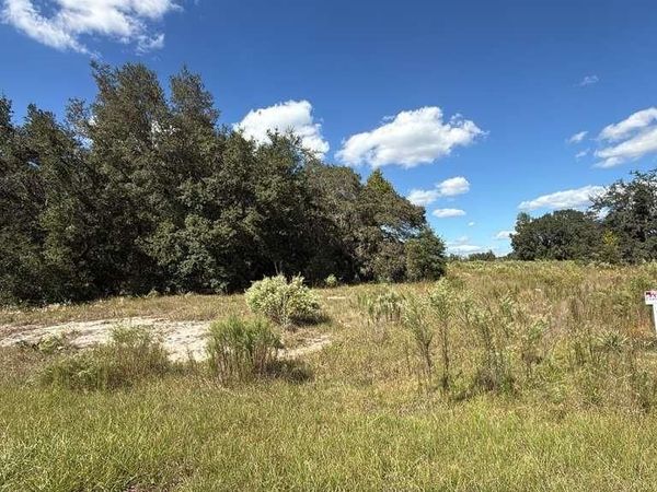 SW 105TH PL, DUNNELLON, FL 34432