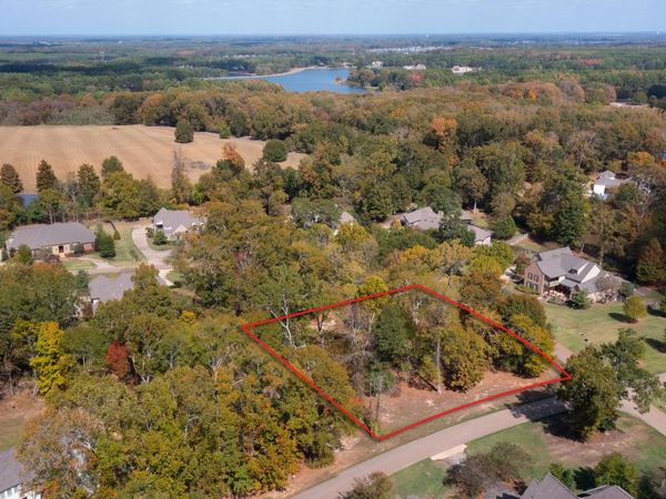 111 Langdon Drive, Madison, MS 39110