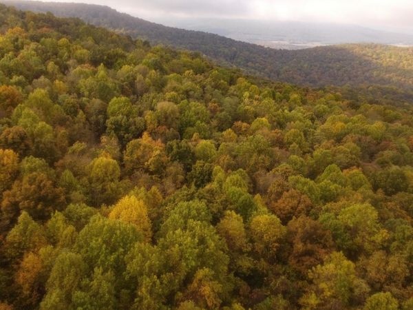 0 Clouse Hill Rd, Pelham, TN 37366