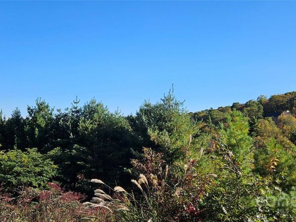 0 Clarktown Road, Newland, NC 28657