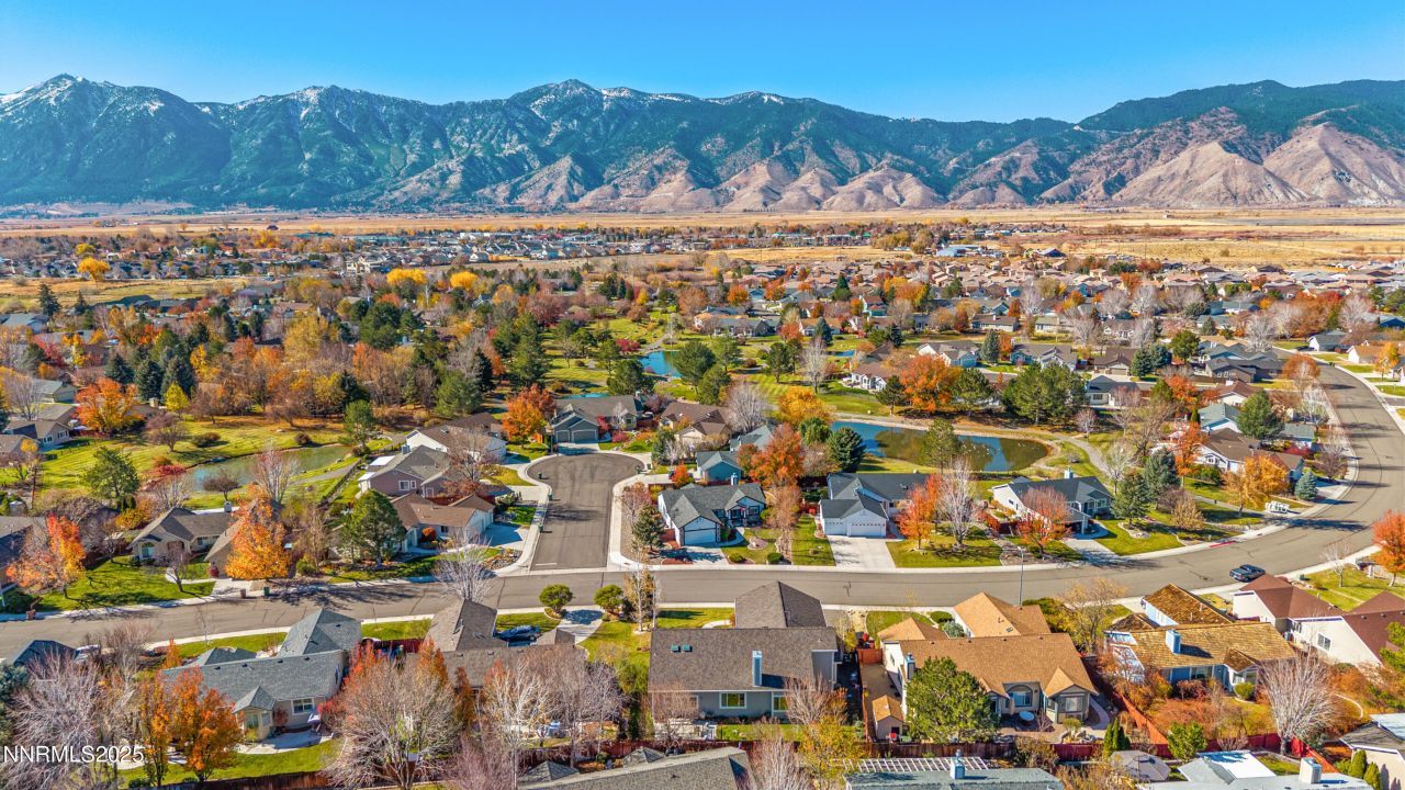 1105 Wisteria Drive, Minden, NV 89423 Photo