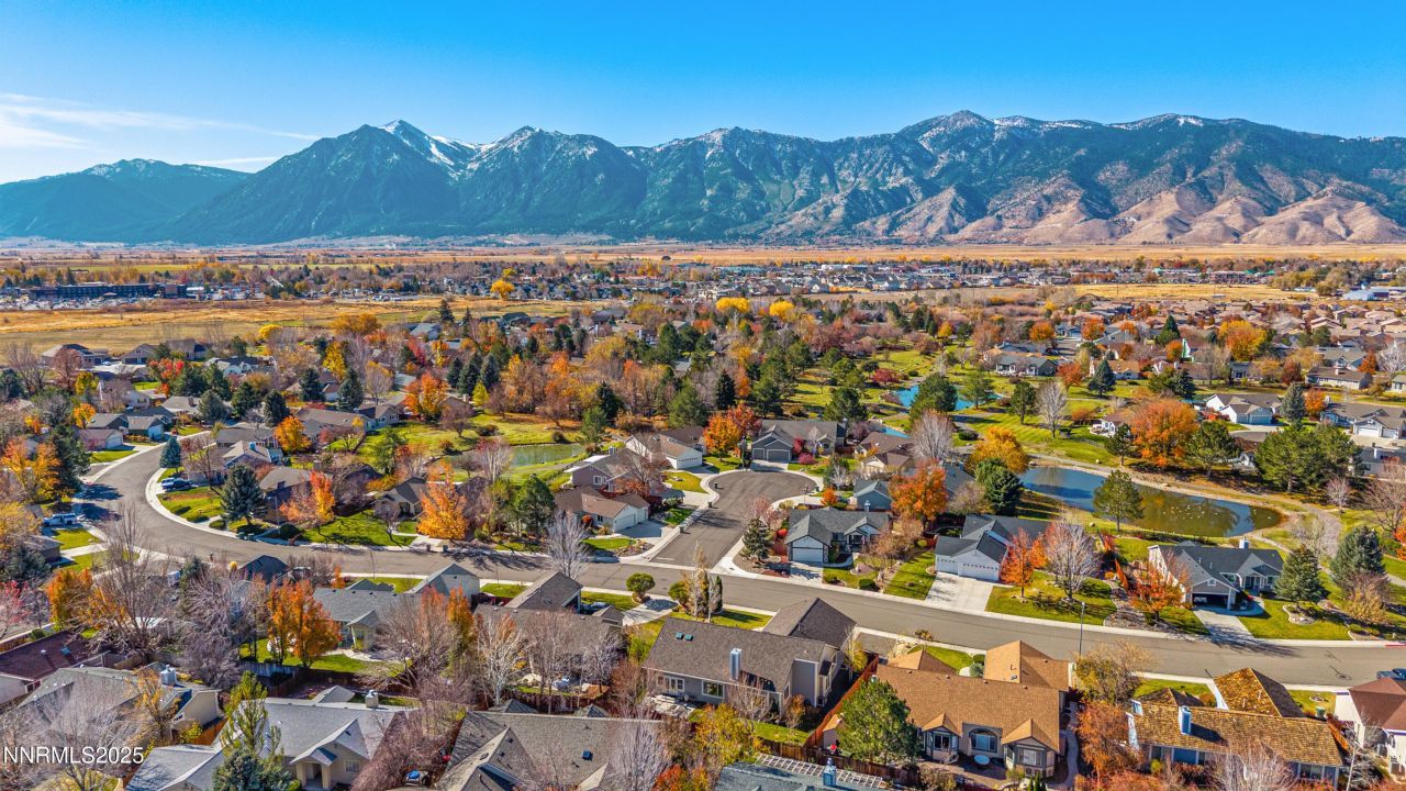 1105 Wisteria Drive, Minden, NV 89423 Photo