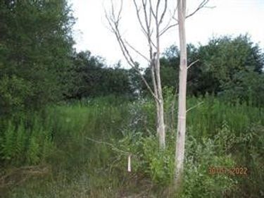 0 Daniels Road, South Plymouth, NY 13844