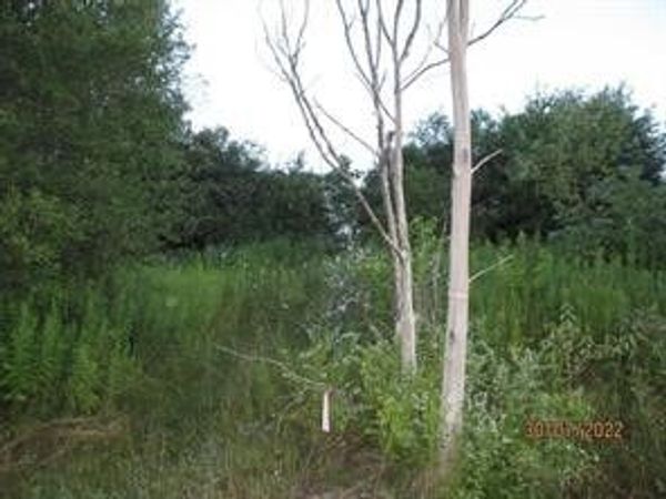 0 Daniels Road, South Plymouth, NY 13844