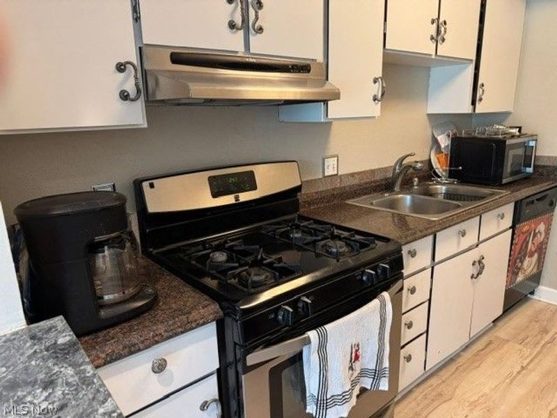 796 Pipes Court, Unit 1604, Sagamore Hills, OH 44067 Photo 3