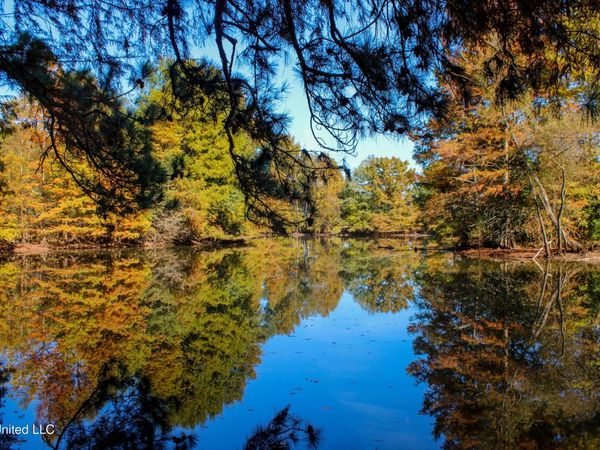 636 Livingston Vernon Road, Flora, MS 39071