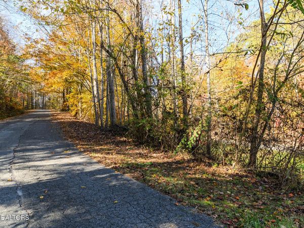 Lot 1 Jones Cove Rd, Cosby, TN 37722