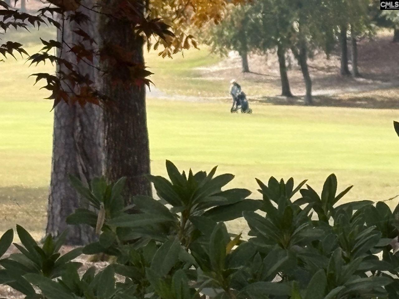 159 Greenside Drive Photo 57