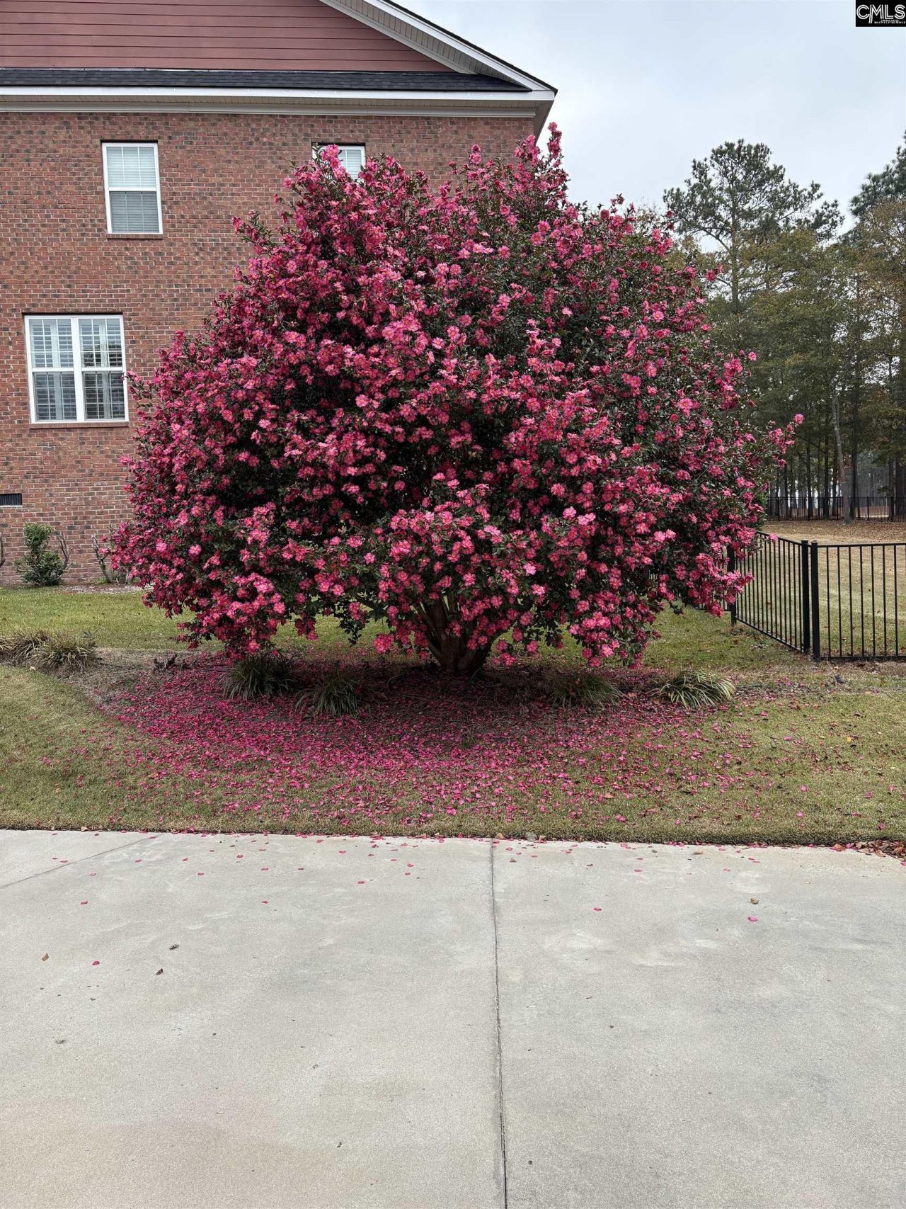 159 Greenside Drive Photo 60