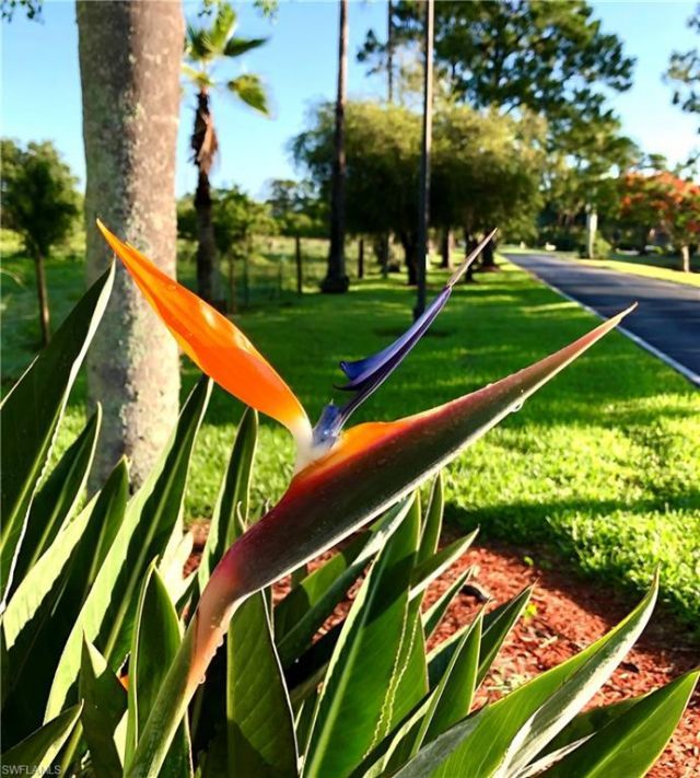 16000 Bay Pointe Blvd, Unit 306, North Fort Myers, FL 33917 Photo